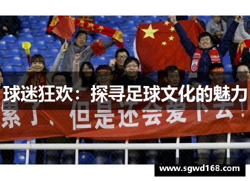 球迷狂欢：探寻足球文化的魅力